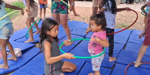 projeto-ara-20240407_143636