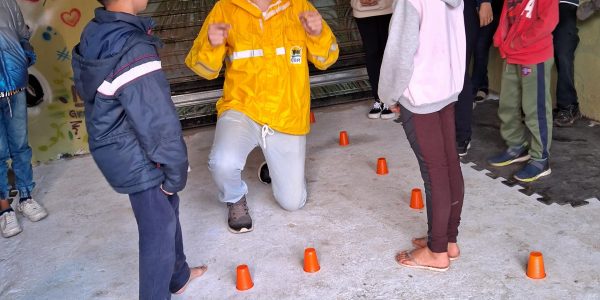 projeto-ara-20240810_145756