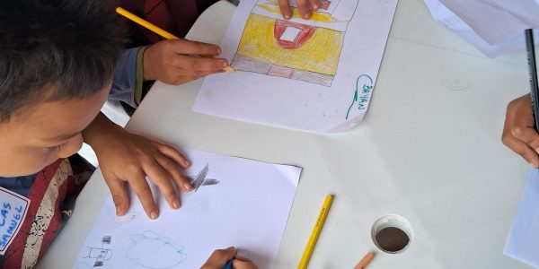 projeto-ara-20250524_141745