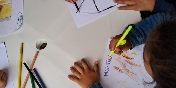 projeto-ara-20250524_141749