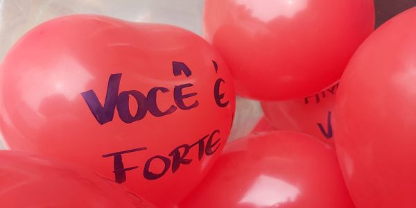 projeto-ara-img-20191128-wa0116