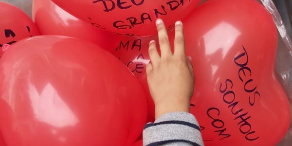 projeto-ara-img-20191128-wa0127-(1)