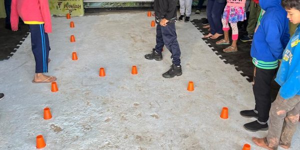 projeto-ara-img-20240811-wa0000