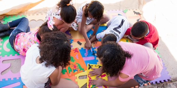 projeto-ara-primeiro-dia_3