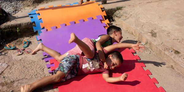 projeto-ara-sem-título-2896-(1)