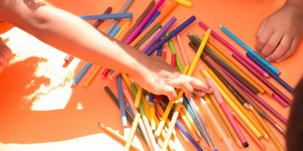 projeto-ara-terceiro_dia_projeto_ara_17ago2019_54