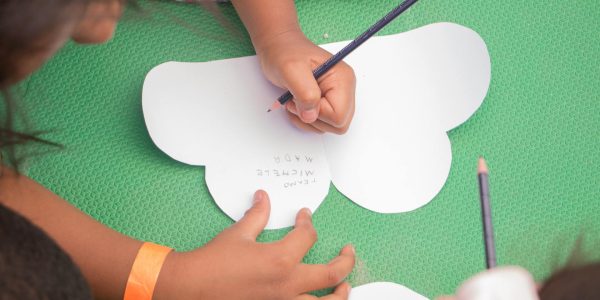 projeto-ara-terceiro_dia_projeto_ara_17ago2019_63